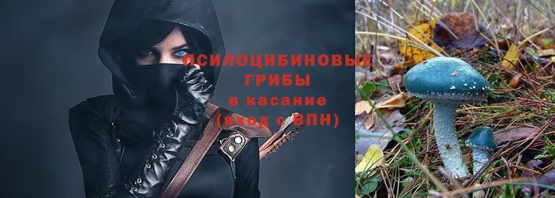 Псилоцибиновые грибы MAGIC MUSHROOMS  Александровск 